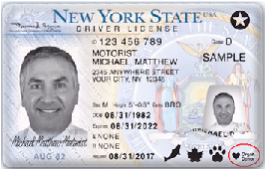 DMV